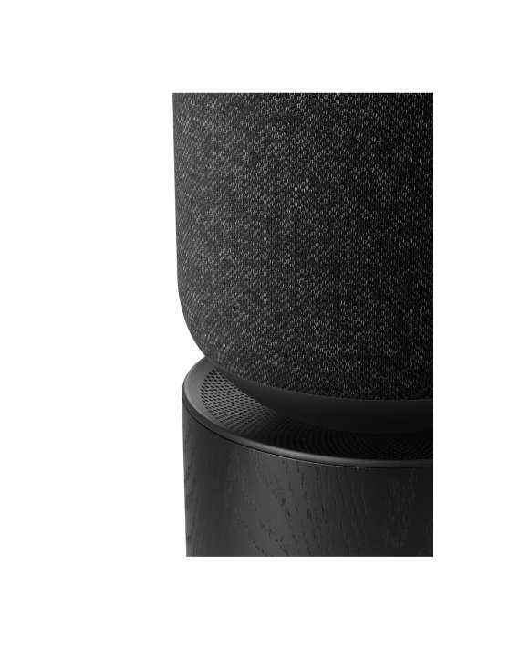 Bang & Olufsen Beosound Balance AL2, Black Oak