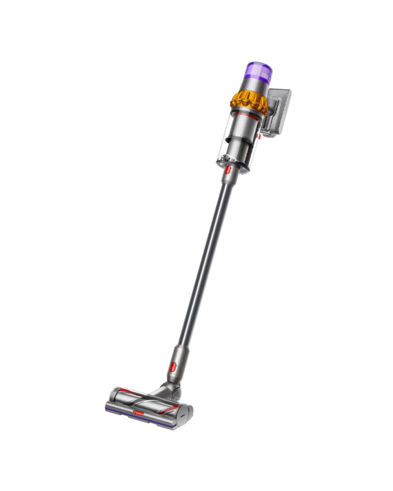 V15™ Detect Absolute cordless vacuum cleaner  image number 0