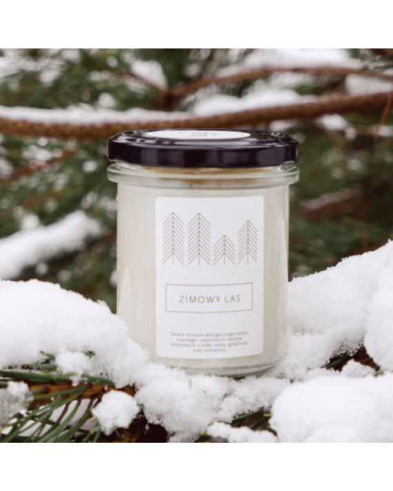 Winter Forest  Soy Candle image number 1