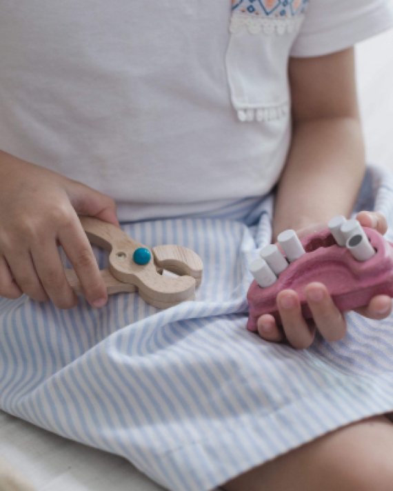 Plantoys Kids dentist set