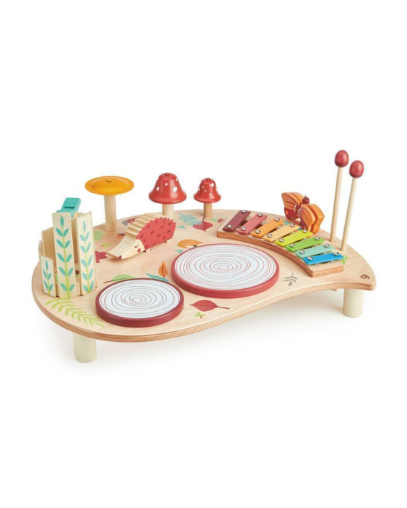 TENDER LEAF Kids musical table