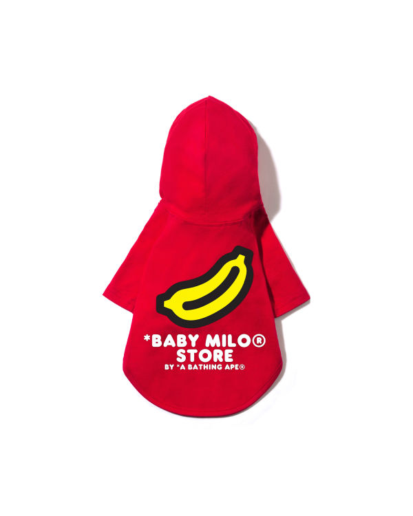 Pet hoodie