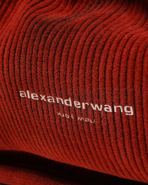 alexander wang Ryan small bag
