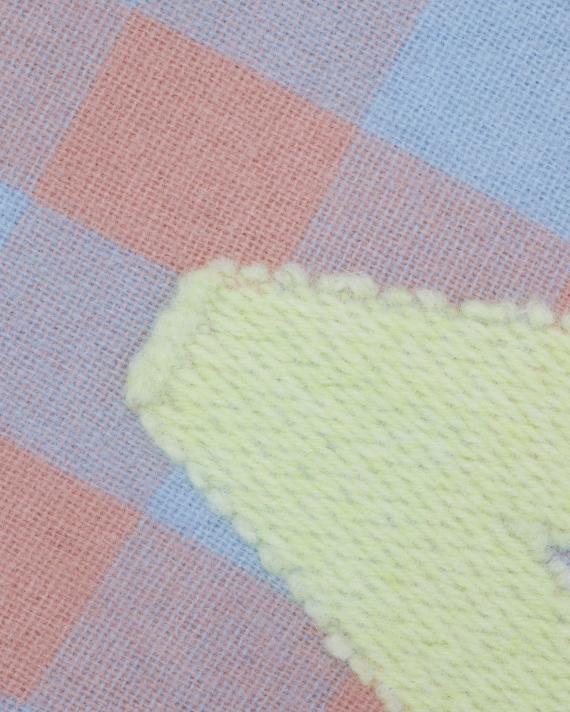 Acne Studios Check logo scarf