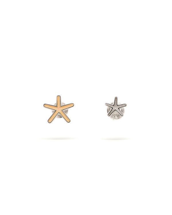 Star earrings