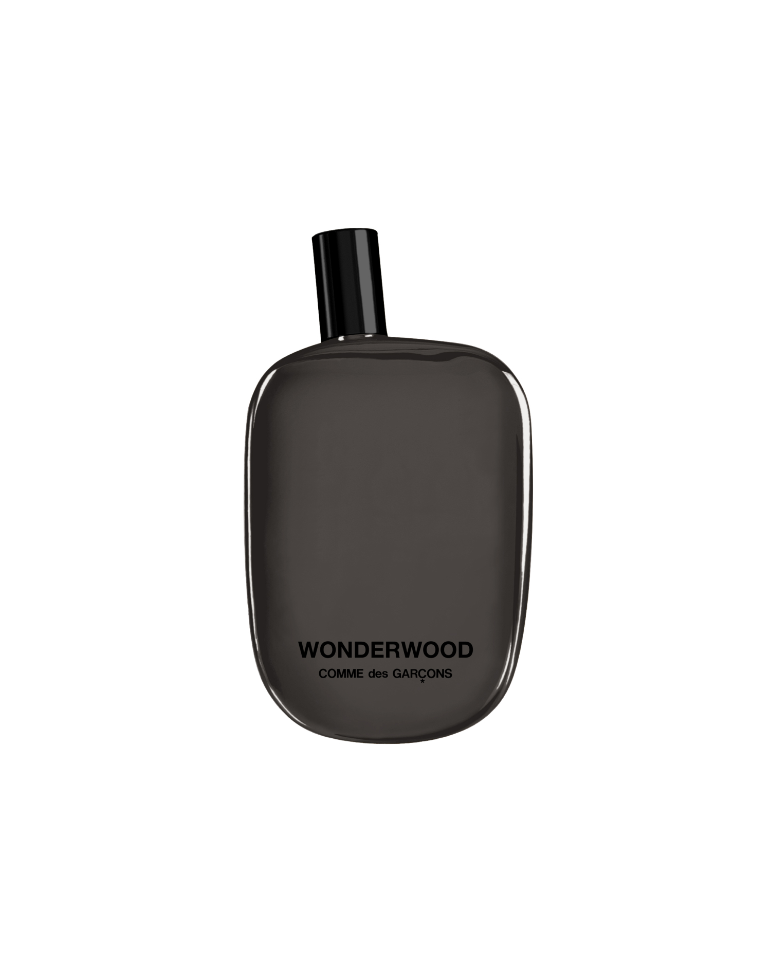 CDG PARFUMS Wonderwood Eau de Parfum 100ml | ITeSHOP