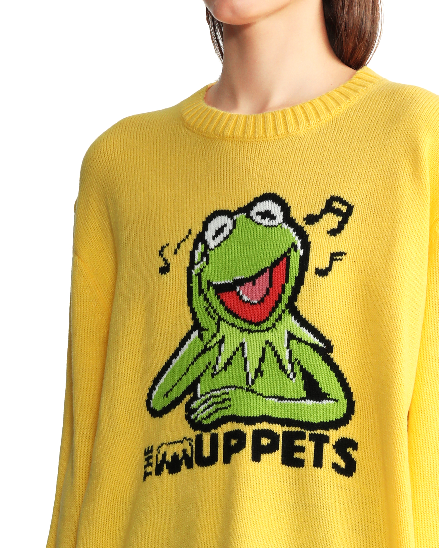 The Muppets Kermit knit sweater | ITeSHOP