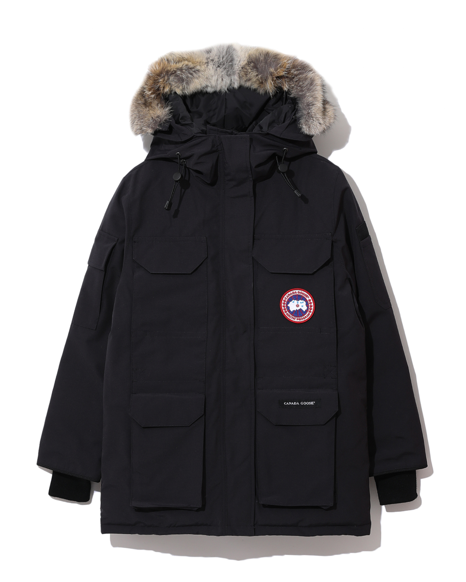 canada goose pembina